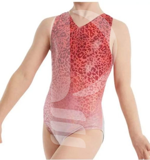 Normal Custom Printing training rhythmic girls gymnastic wear dance ballet leotards for women.jpg